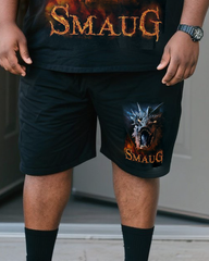 THE HOBBIT Men's Plus Size T-Shirt & Shorts Set